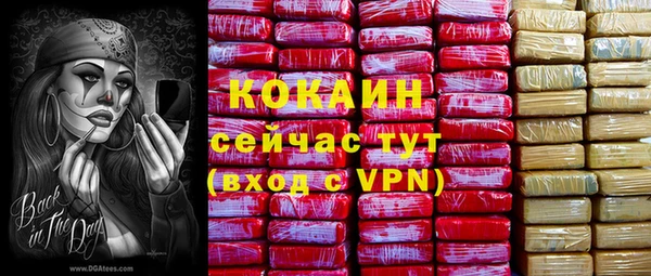 стафф Верея