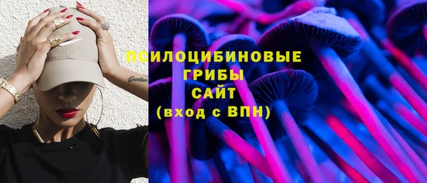 винт Бронницы
