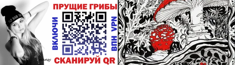Псилоцибиновые грибы Psilocybine cubensis  Нальчик 